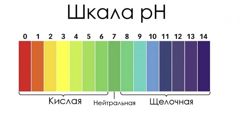 что такое фосфорно калийные удобрения для клубники осенью. Смотреть фото что такое фосфорно калийные удобрения для клубники осенью. Смотреть картинку что такое фосфорно калийные удобрения для клубники осенью. Картинка про что такое фосфорно калийные удобрения для клубники осенью. Фото что такое фосфорно калийные удобрения для клубники осенью