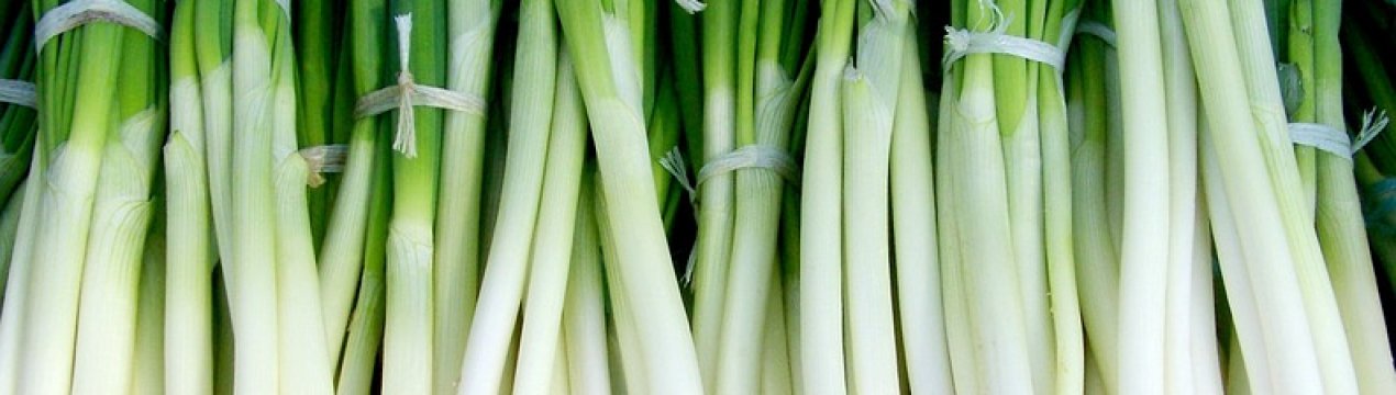 Завдяки постачання імпортного товару в Україні почав дешевшати цибуля