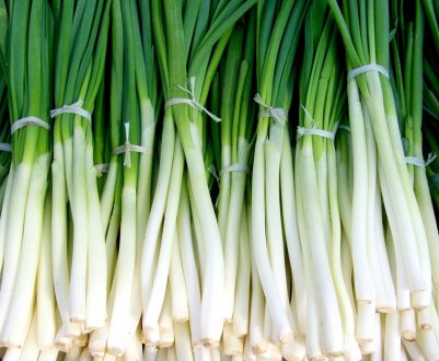 Завдяки постачання імпортного товару в Україні почав дешевшати цибуля