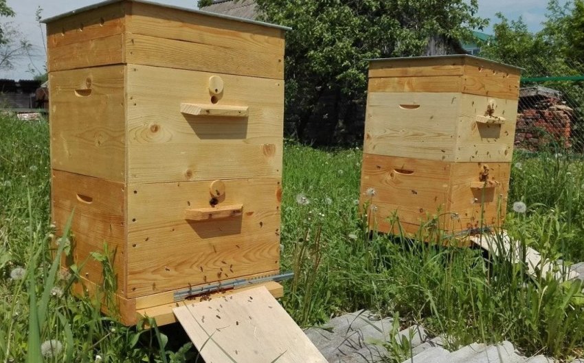 Двохкорпусний вулик