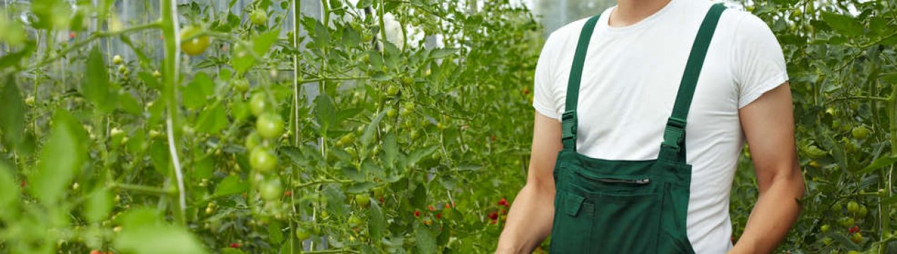 Новий кредитний пакет від ЄС для молодих фермерів