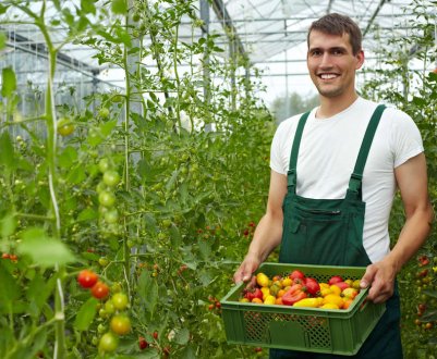 Новий кредитний пакет від ЄС для молодих фермерів