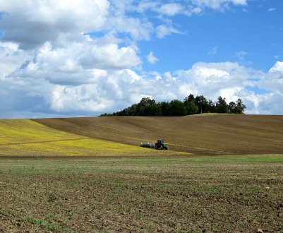 Хитрий фермер з Харківської області «перездав» в оренду державні землі