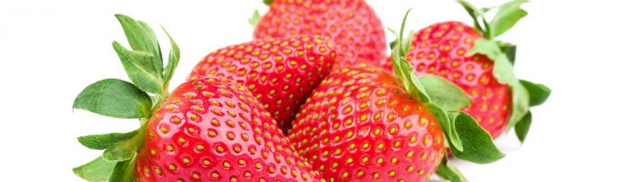 Уход за клубникой клубника альба. . Уход за клубникой клубника альба фото. Уход за клубникой клубника альба-. картинка Уход за клубникой клубника альба. картинка . Выведенный итальянскими селекционерами сорт клубники Альба радует садоводов своими вкусовыми качествами. Он подходит для выращивания на приусадебных участках, а также для фермерских хозяйств.