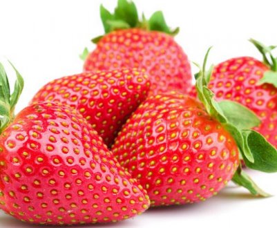 Посадка і догляд за сортом полуниці Альба