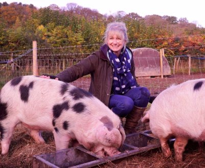 Британська шкільна ферма під вогнем критики веганів та активістів захисту прав тварин 