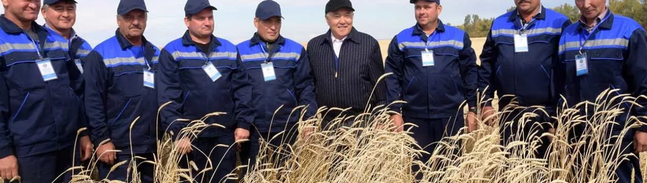 Торгова війна і падіння цін змушують американських сімейних фермерів йти з полів