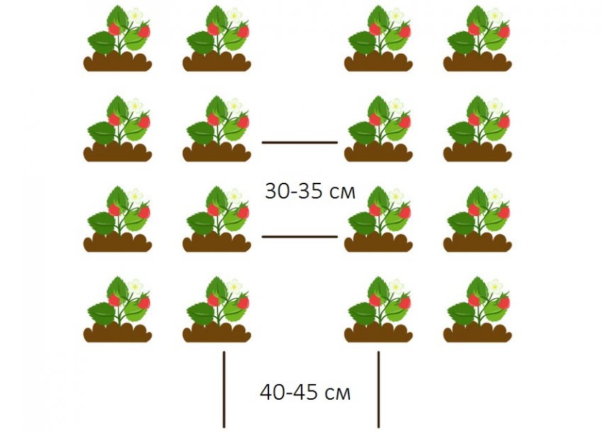 Схема посадки