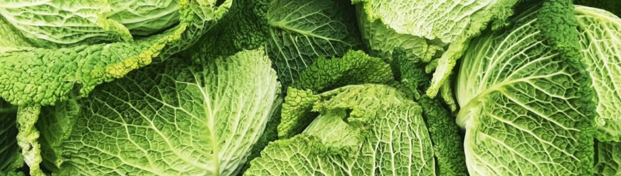 Як можна зберігати савойську капусту на зиму в домашніх умовах