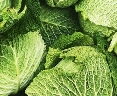 Як можна зберігати савойську капусту на зиму в домашніх умовах