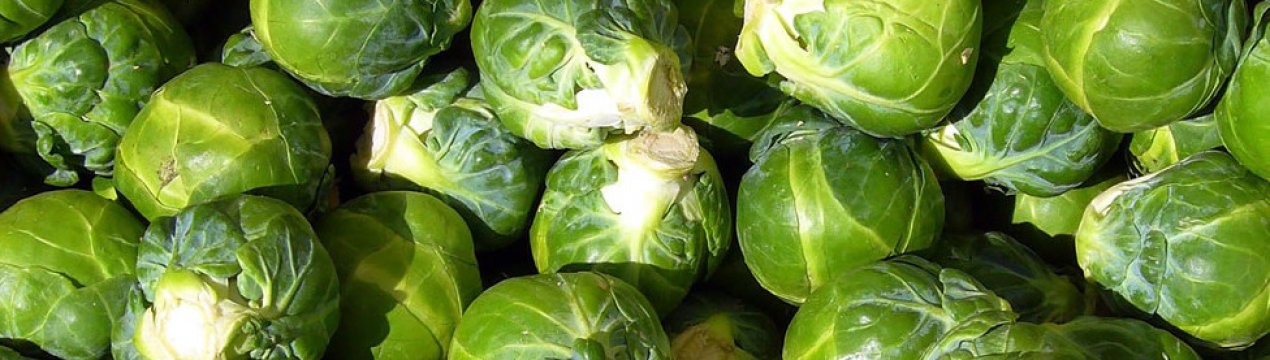 Брюссельська капуста: потрібно обривати листя в період дозрівання?