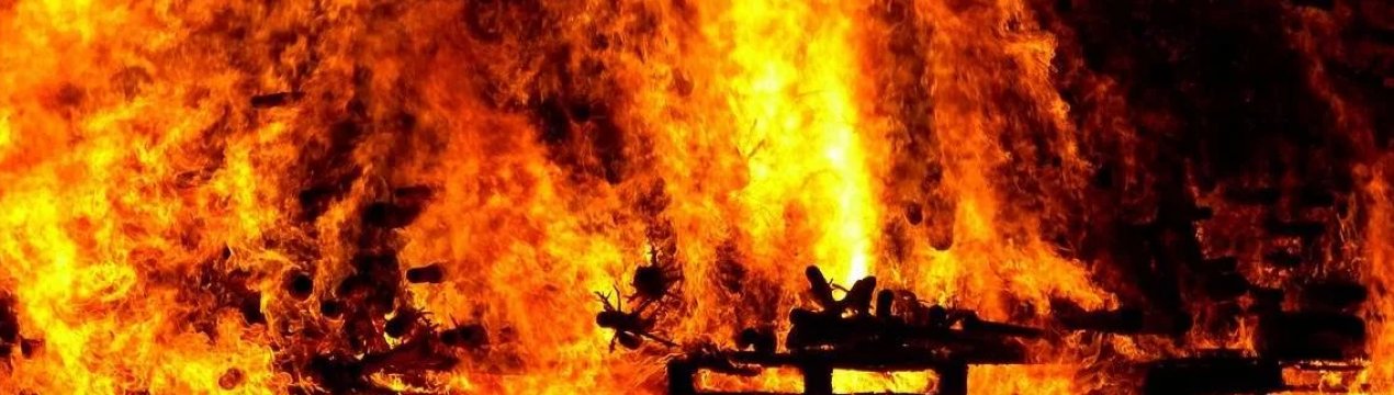 1 травня в Одеській області горів великий свинокомплекс