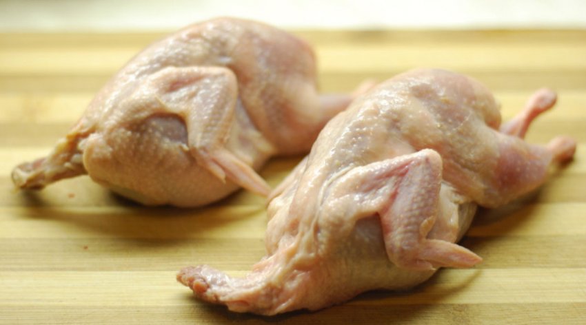 Перепелине м'ясо Перепелине м'ясо