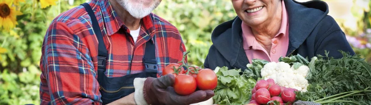 У Великобританії National Trust пропонує орендарям доступ до безкоштовного бізнес-навчання