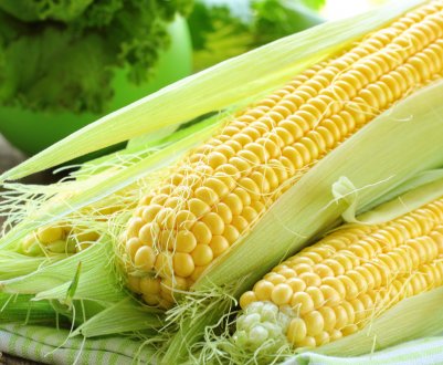 Кенія переглядає свою заборону на ГМО-культури