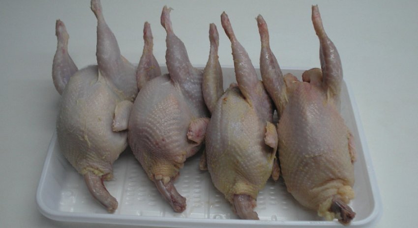 Тушки охолоджені Тушки охолоджені