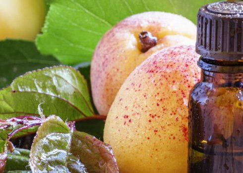 Использование абрикосового масла в косметологии