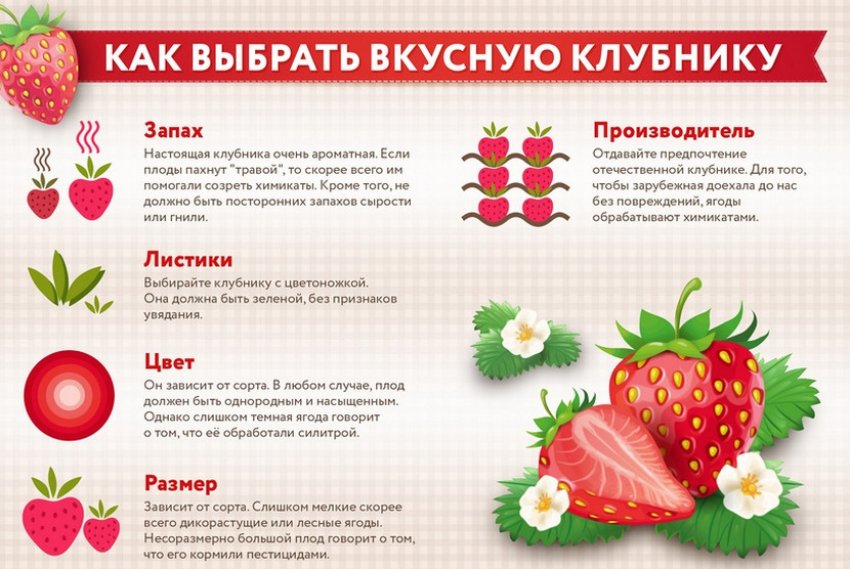Можно ли есть белую клубнику. 72077.pqtsio.850. Можно ли есть белую клубнику фото. Можно ли есть белую клубнику-72077.pqtsio.850. картинка Можно ли есть белую клубнику. картинка 72077.pqtsio.850. Простым языком, плесень – это грибок. При попадании плесени в наш организм, возникают заболевания, которые называются микозами (от греческого – mycosis, «гриб»). Споры этих микроорганизмов могут вызывать пищевые отравления, аллергические реакции и многое другое.