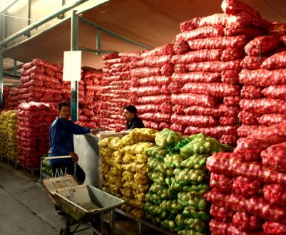 Рекордні рівні європейського експорту сільгосппродукції