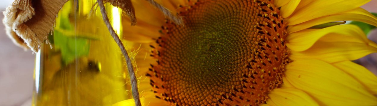 Випуск соняшникової олії в Україні досяг рекордних 3,5 тисяч т