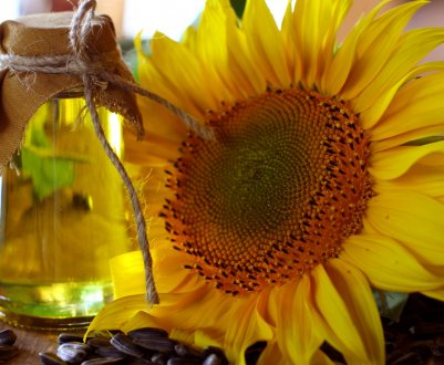 Випуск соняшникової олії в Україні досяг рекордних 3,5 тисяч т