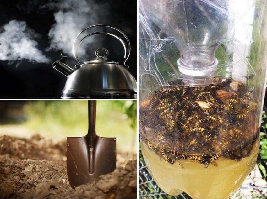 Способи боротьби з земляними бджолами Способи боротьби з земляними бджолами