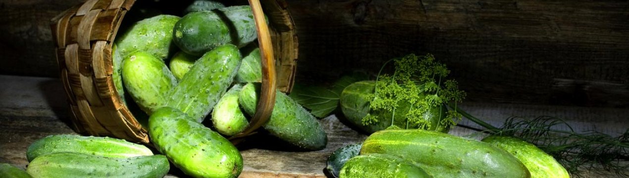 На українських ринках ціна огірків зменшилася в 4 рази