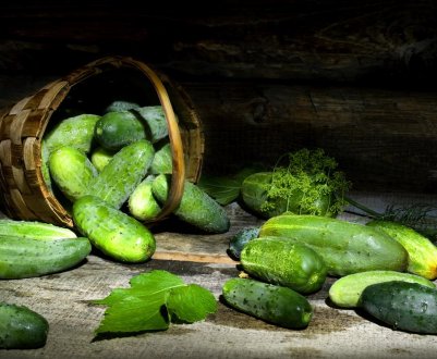 На українських ринках ціна огірків зменшилася в 4 рази