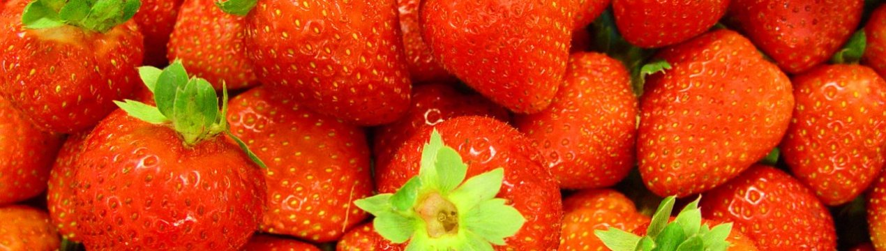 Особливості полуниці сорту Медове літо
