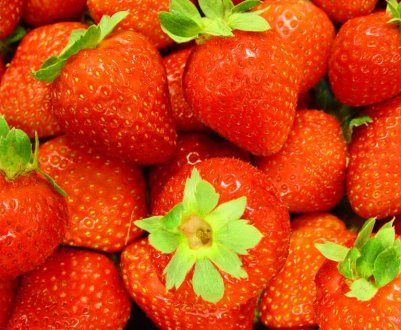 Особливості полуниці сорту Медове літо