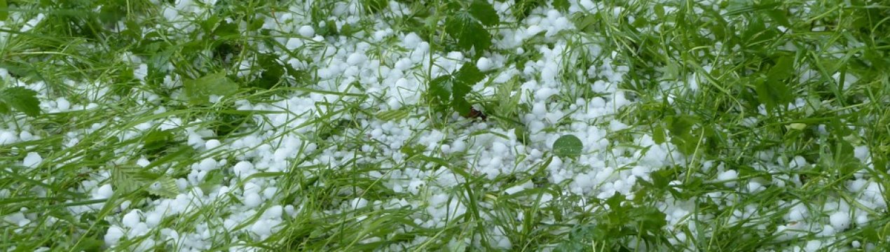 Зливи і град завдали збитки аграріям західних областей України