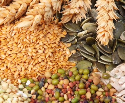 На Кубані стане більше комбікорми