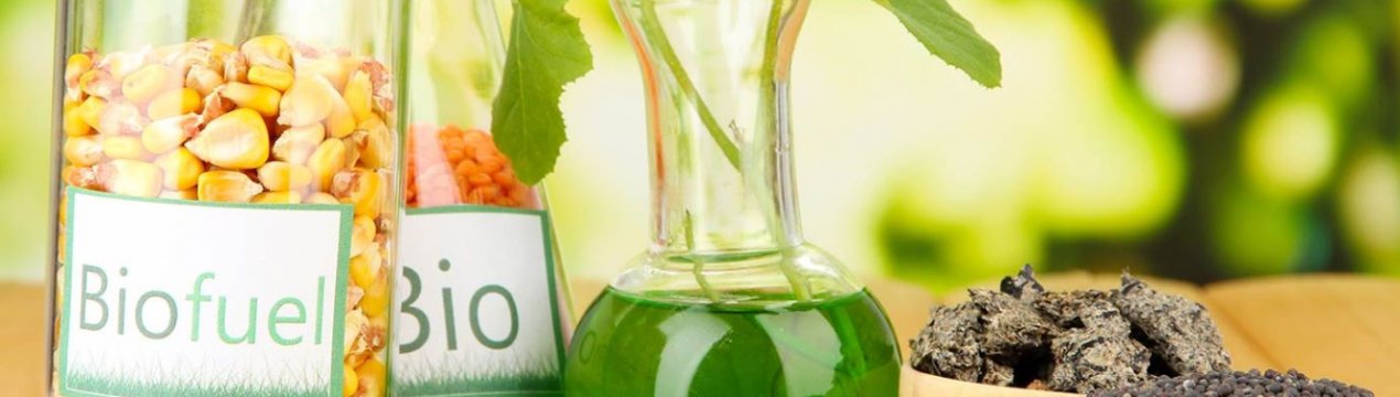 Перспективи експорту індонезійського біодизеля