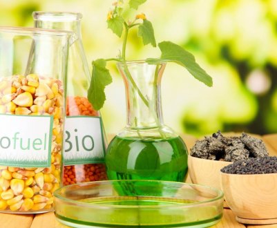 Перспективи експорту індонезійського біодизеля