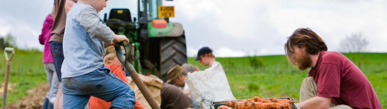 Невизначеність у кредитуванні бразильських фермерів турбує найбільших виробників сільгосптехніки