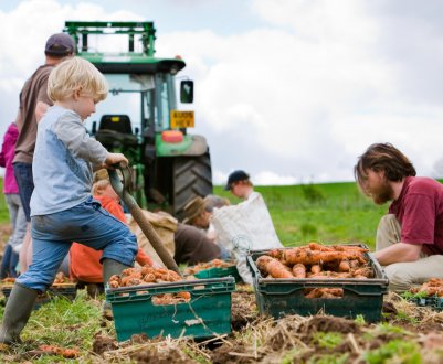 Невизначеність у кредитуванні бразильських фермерів турбує найбільших виробників сільгосптехніки