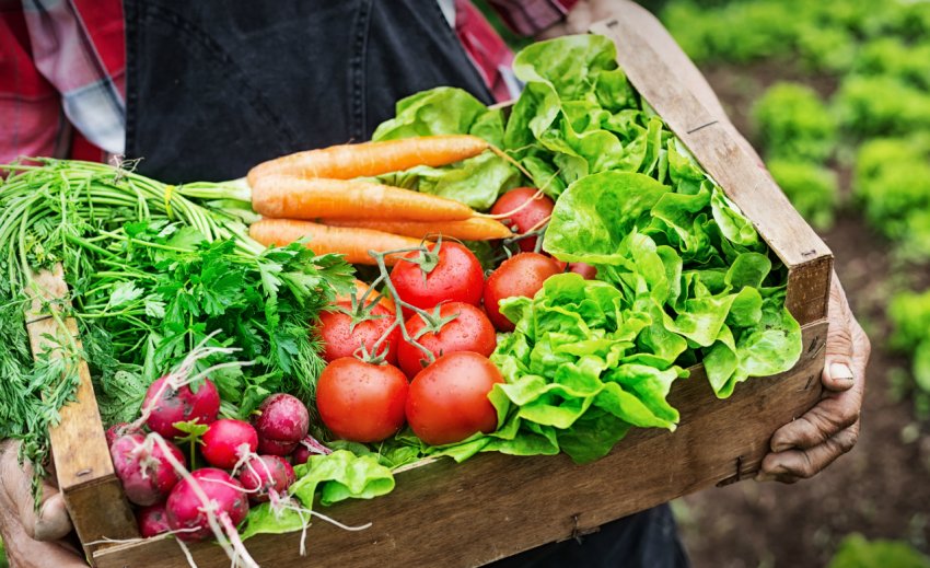 Українські виробники органічної продукції попросили у Гройсмана матеріальної підтримки Українські виробники органічної продукції попросили у Гройсмана матеріальної підтримки