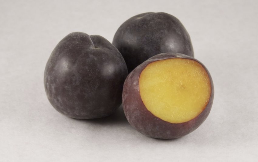 Абрикос Чорний принц Абрикос Чорний принц