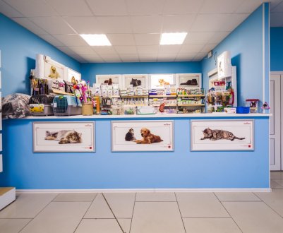 На Сході України відкрилися ветеринарні центри