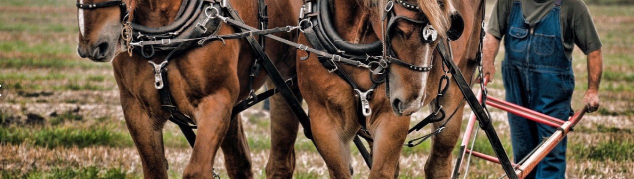 Влітку на мордовських полях виберуть кращого землероба