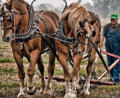 Влітку на мордовських полях виберуть кращого землероба