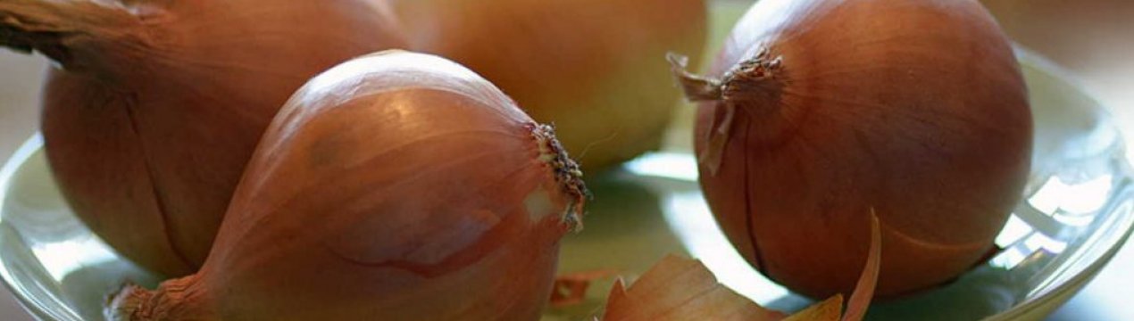 Особливості лікування кашлю у дітей цибулею з цукром