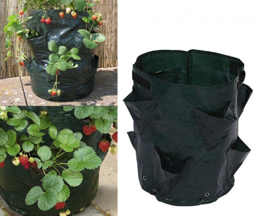 Грядка з мішка Грядка з мішка