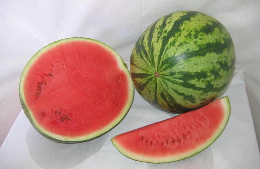 Кавун Силвия F1