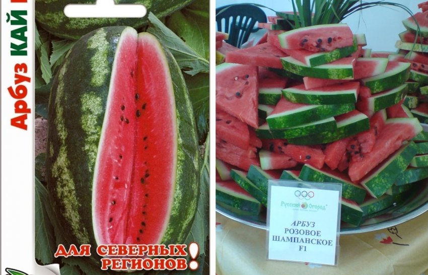 Сорти кавунів з рожевою м'якоттю