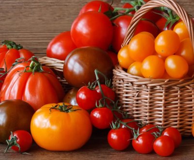 Заражені томати повернулися до Туреччини