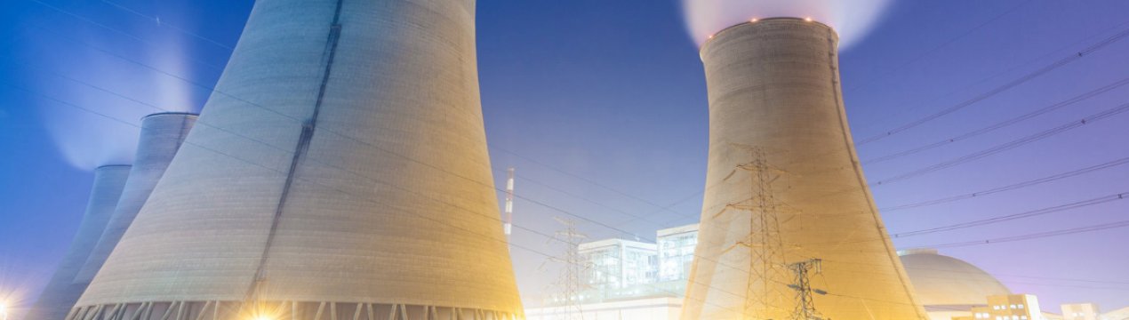 Житомирські селяни не дозволили будувати ТЕС