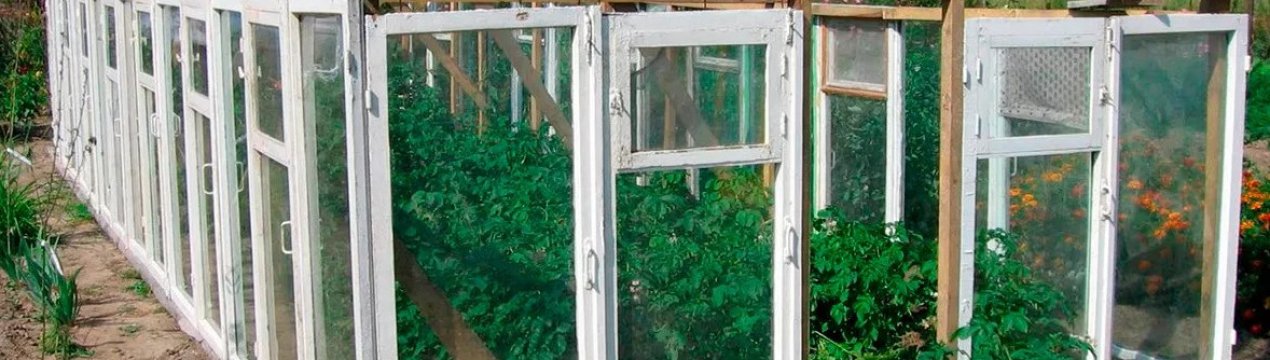 Парник з віконних рам своїми руками