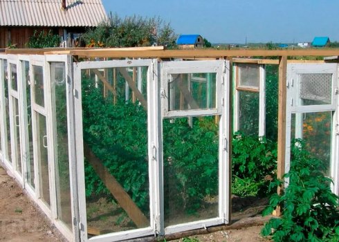 Парник з віконних рам своїми руками