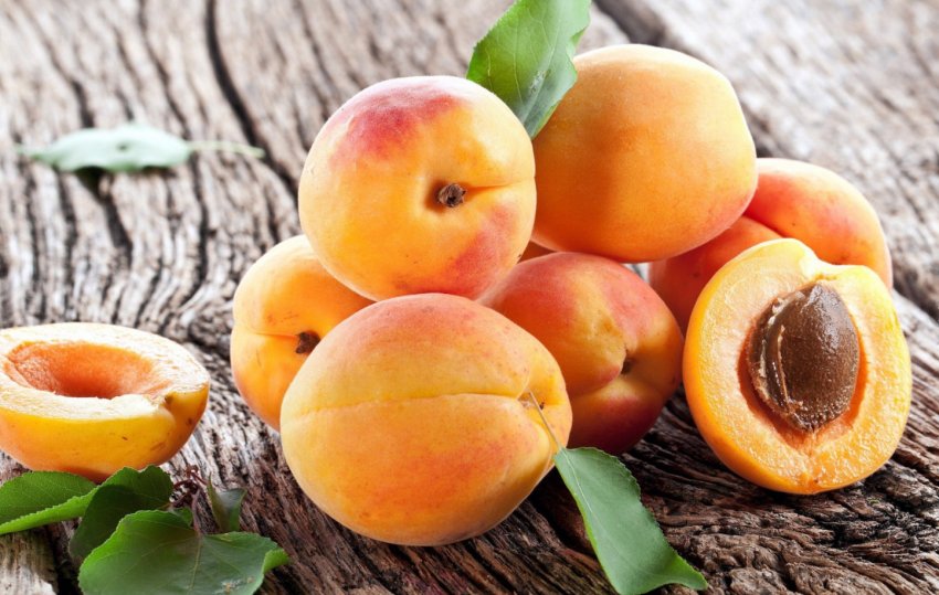 Вибір плодів абрикоса Вибір плодів абрикоса